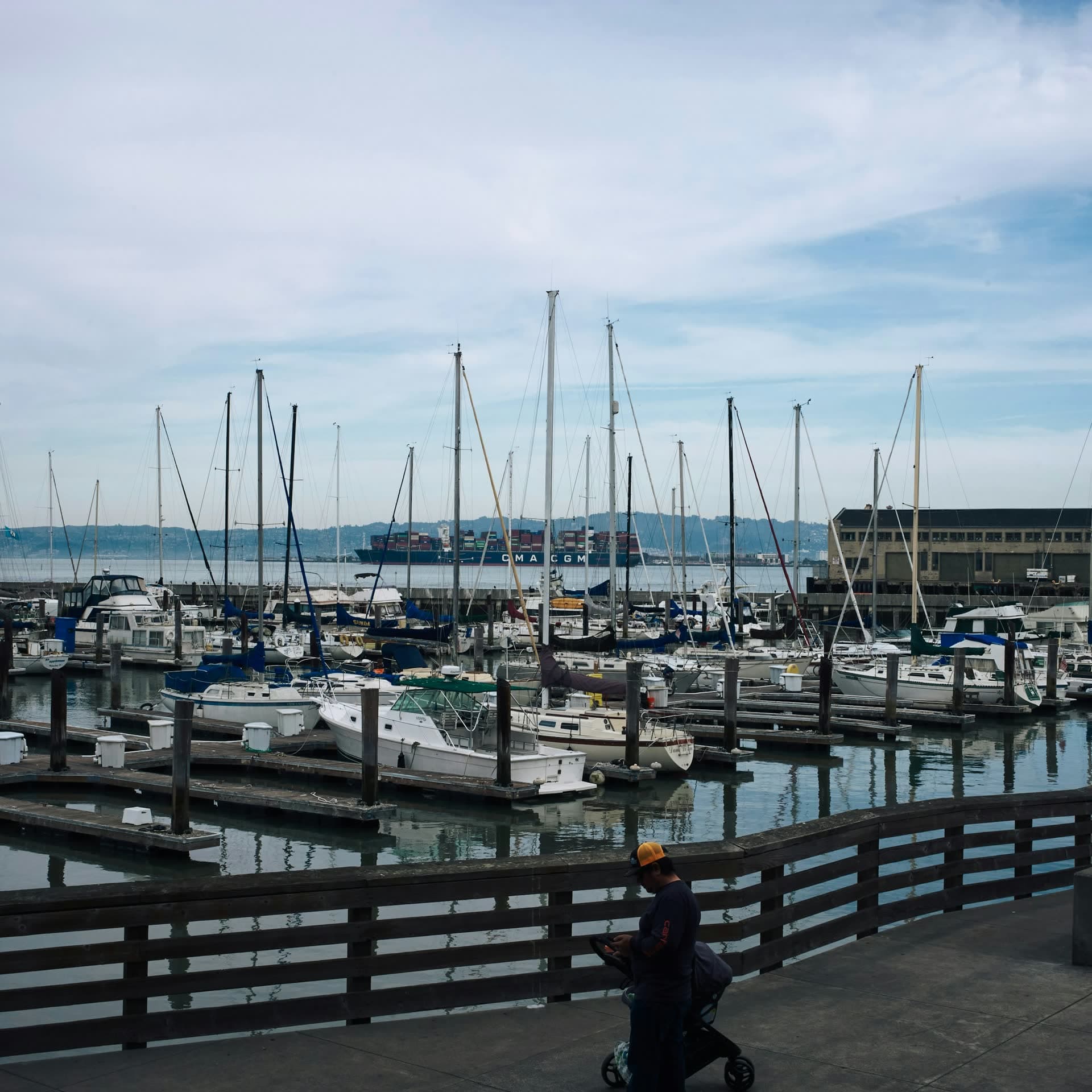 Busy marina slips and dock walkway
